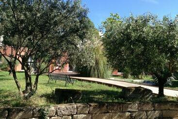 Bed and Breakfast De La Suite Dans Les Oliviers