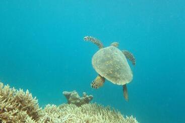 住宿加早餐  Les Baobabs