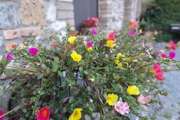 ホテル Agriturismo Bandinacci