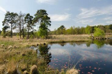 تختخواب و صبحانه De Roermondse Beleving