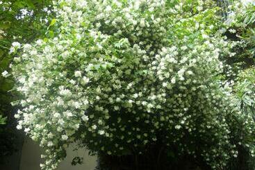 تختخواب و صبحانه Le Cloitre Du Couvent