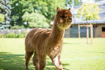 膳宿费 Gästehaus Am Schloßpark