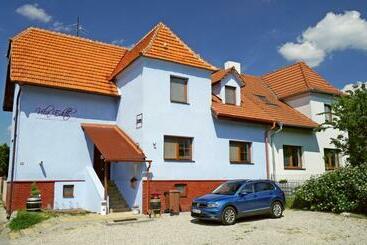 بنسيون Vila Edith Valtice