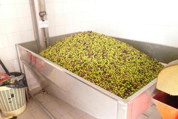 B&b Porchiano Del Monte