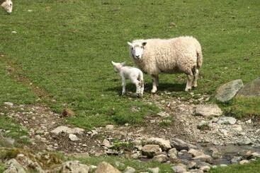 ベッドアンドブレックファースト Barn Gill House