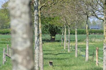 تختخواب و صبحانه De Aze