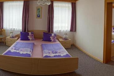 مبيت وإفطار Pension Maier