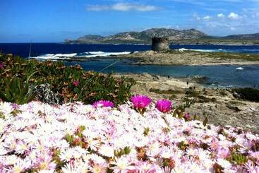 بنسيون Velalatina