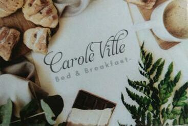 مبيت وإفطار Blackrock Carole Ville Guesthouse