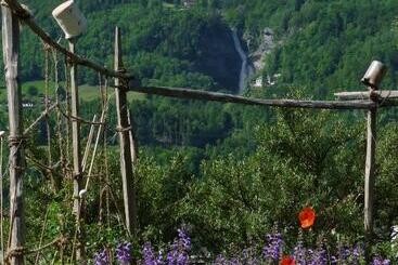 צימר Dunkel Blaue Maus