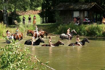בית מלון כפרי Reiterhof Stöglehner
