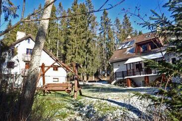 بنسيون Chaty Tatra