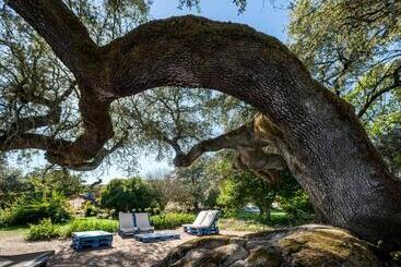 پانسیون Monte Do Serrado De Baixo