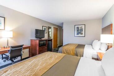 ホテル Comfort Inn Sw Omaha I80