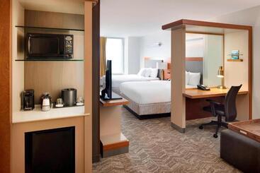 فندق Springhill Suites Indianapolis Downtown
