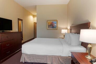 Best Western Plus Fredericton Hotel & Suites