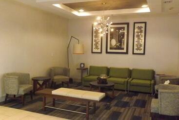 فندق Holiday Inn Express & Suites Dyersburg, An Ihg