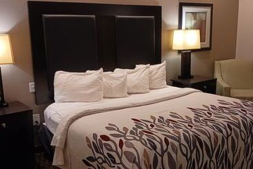 בית מלון כפרי Red Roof Inn & Suites Longview