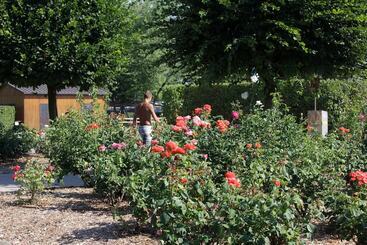 بانگلو Club Del Sole Centro Turistico Città Di Bologna