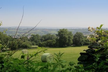 Отель Llechwen Hall