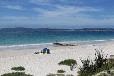 Albany Motel & Apartments