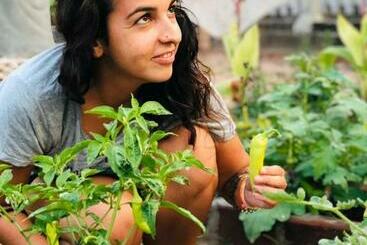 פנסיון Canal S Edge