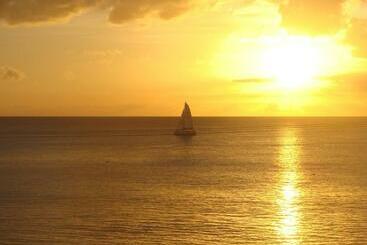 호텔 Coral Lane Beach Apartments