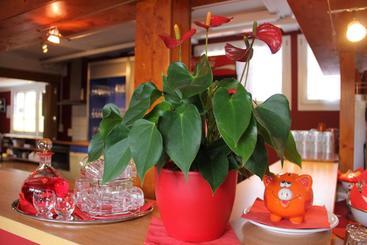 Hotel Downtown Lodge Hostel - Unique Simple Central