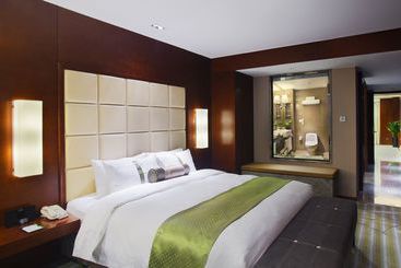 هتل Holiday Inn Yinchuan International Trade Centre