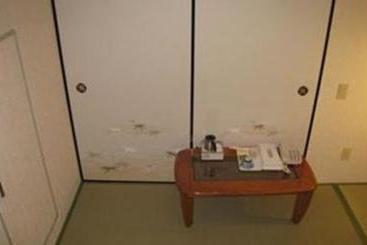 ホテル Park Inn Hidaka