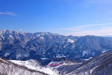 هتل Green Plaza Hakuba