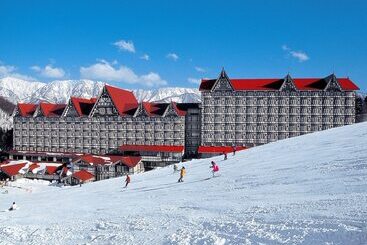 Отель Green Plaza Hakuba