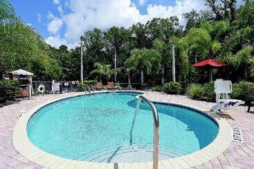 Отель Hampton Inn & Suites Tampawesley Chapel