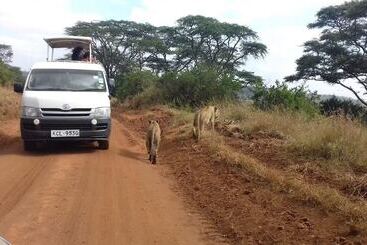 酒店 Khweza Bed And Breakfast