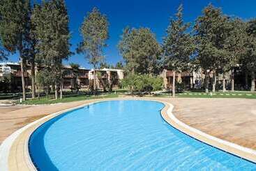 Отель Camelot Boutique