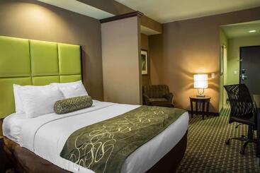 هتل Comfort Suites New Bern Near Cherry Point