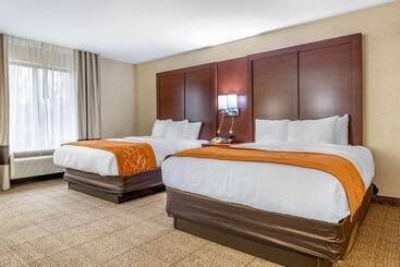 酒店 Comfort Suites South