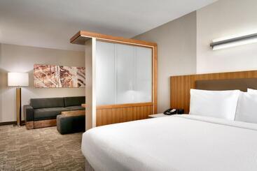 Отель Springhill Suites By Marriott Las Vegas Convention Center