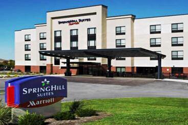فندق Springhill Suites St. Louis Airport/earth City