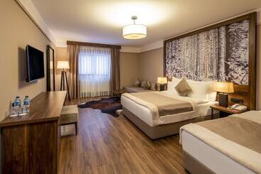 ホテル Dorukkaya Ski & Mountain Resort