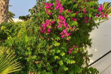 בית מלון כפרי Golden Dream Apartments