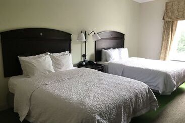 فندق Hampton Inn Vidalia