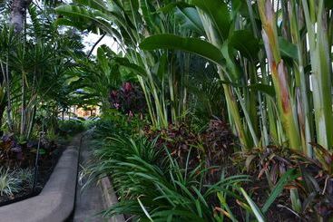 هتل Port Douglas Apartments   Adults Only Oasis