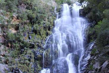 هتل Altes Landhaus Country Lodge