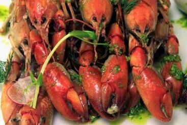 בית מלון כפרי Kooljaman