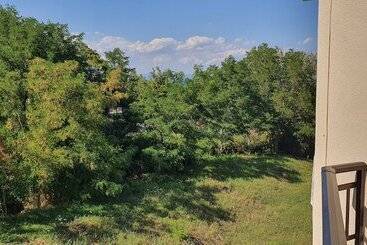 בית מלון כפרי Pashos