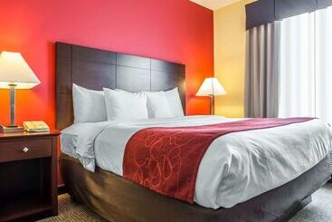 ホテル Comfort Suites Rock Hill Manchester Meadows Area