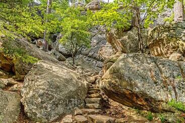 Holiday Inn Express Hotel & Suites Mcalester, An Ihg