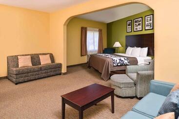 호텔 Sleep Inn And Suites Downtown Houston