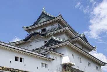 فندق Toyoko Inn JR Wakayama-eki Higashi-guchi